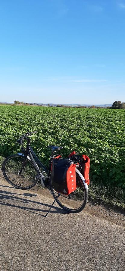 Aan De Watermolen Vakantiewoningen Wijlre エクステリア 写真