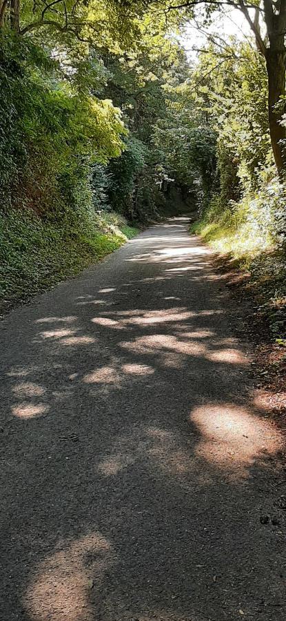 Aan De Watermolen Vakantiewoningen Wijlre エクステリア 写真